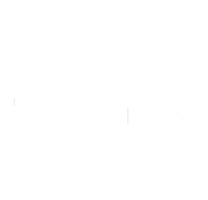Título (3)