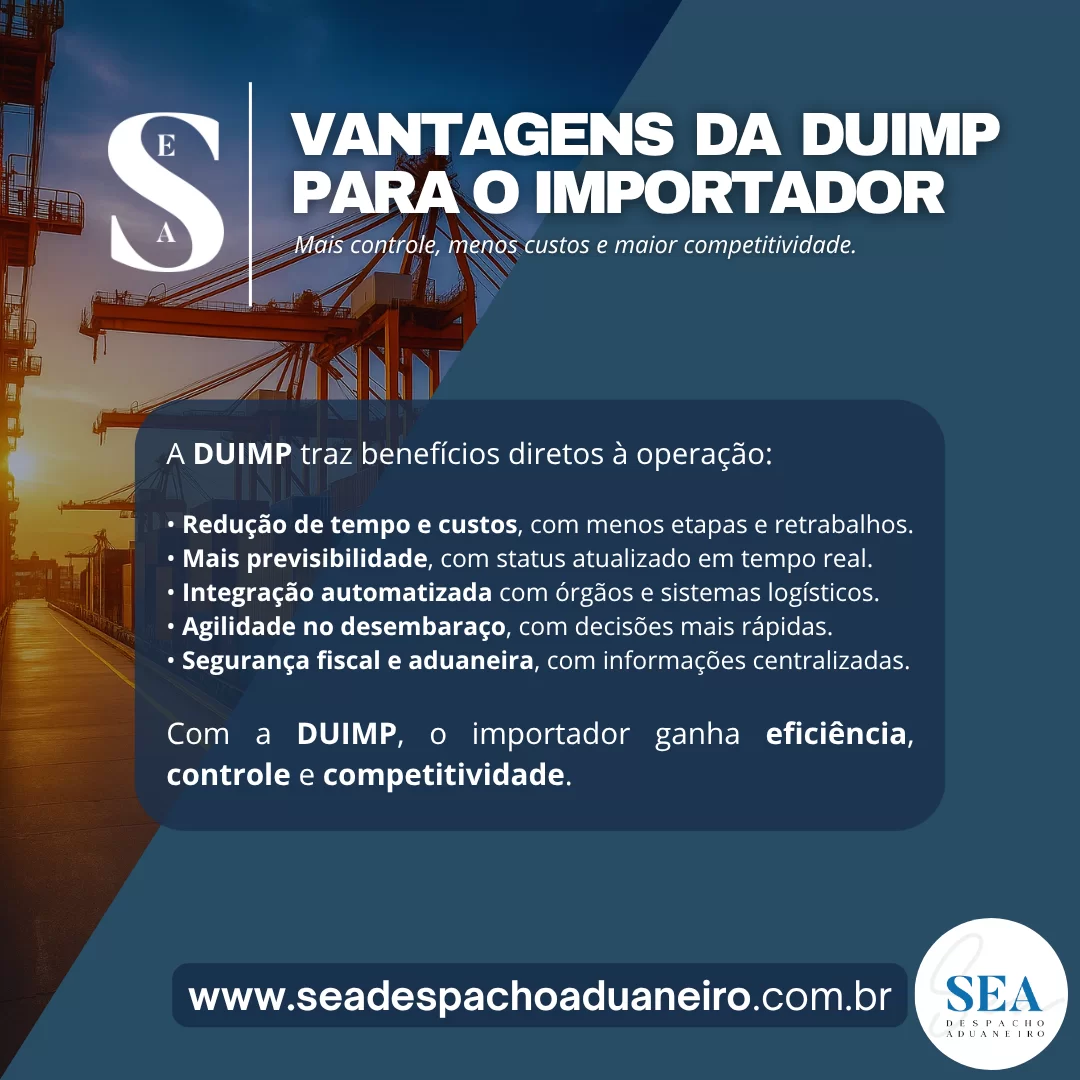 Imagem 6